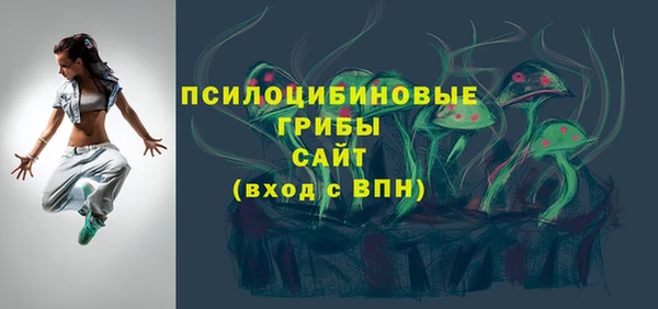ALPHA PVP Няндома
