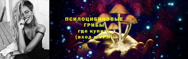 ALPHA PVP Няндома
