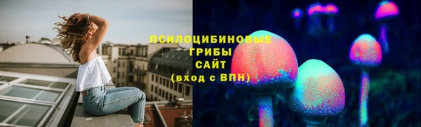 дурь Новокубанск