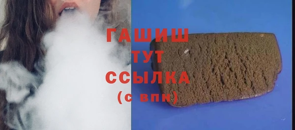 крисы Новозыбков