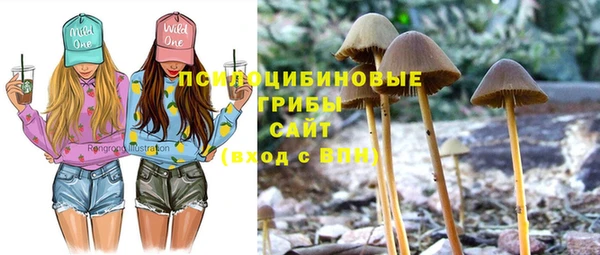 MESCALINE Нягань