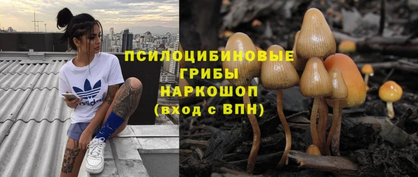 гашик Семикаракорск
