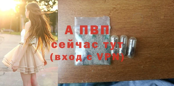 ALPHA PVP Няндома