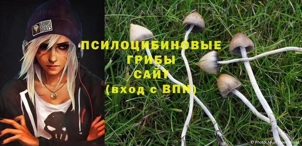 MESCALINE Нягань