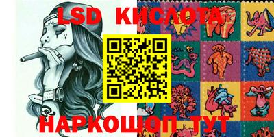 шишки Волгодонск