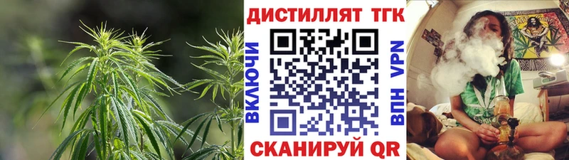 дарнет шоп  Истра  ТГК концентрат 