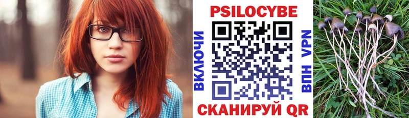 MEGA сайт  Истра  Псилоцибиновые грибы Psilocybine cubensis 