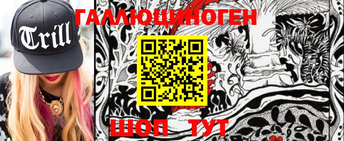 Псилоцибиновые грибы Psilocybe Истра