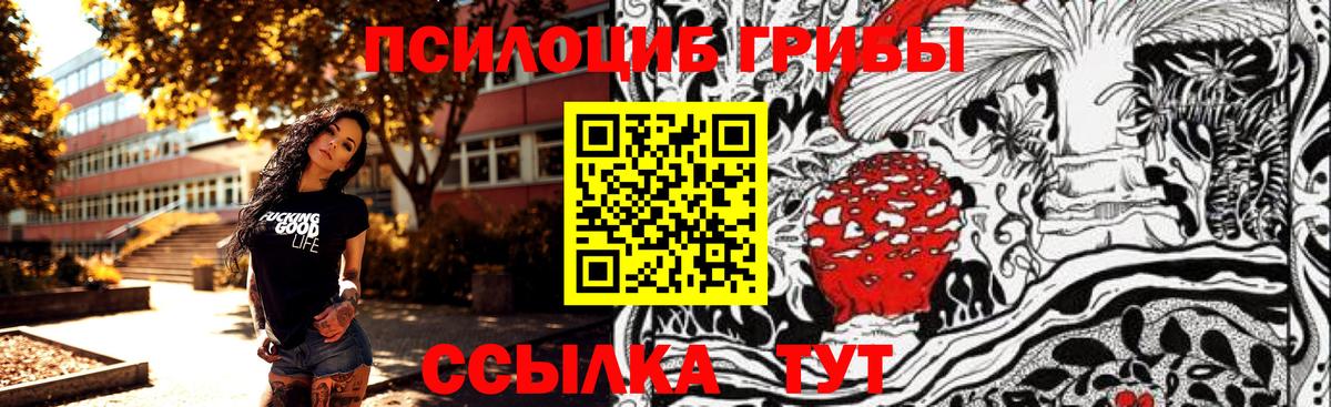 Истра  Псилоцибиновые грибы GOLDEN TEACHER  Вход с VPN 