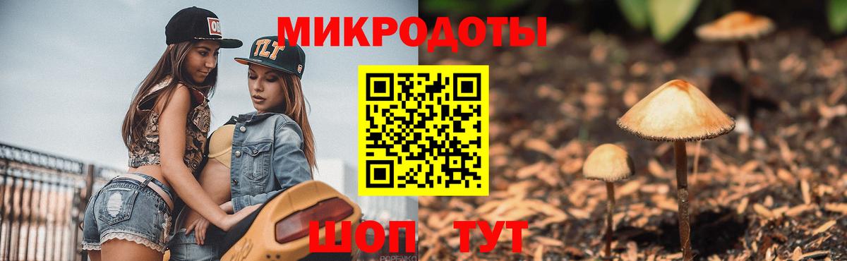 Псилоцибиновые грибы мицелий  Истра  Галлюциногенные грибы мухоморы 